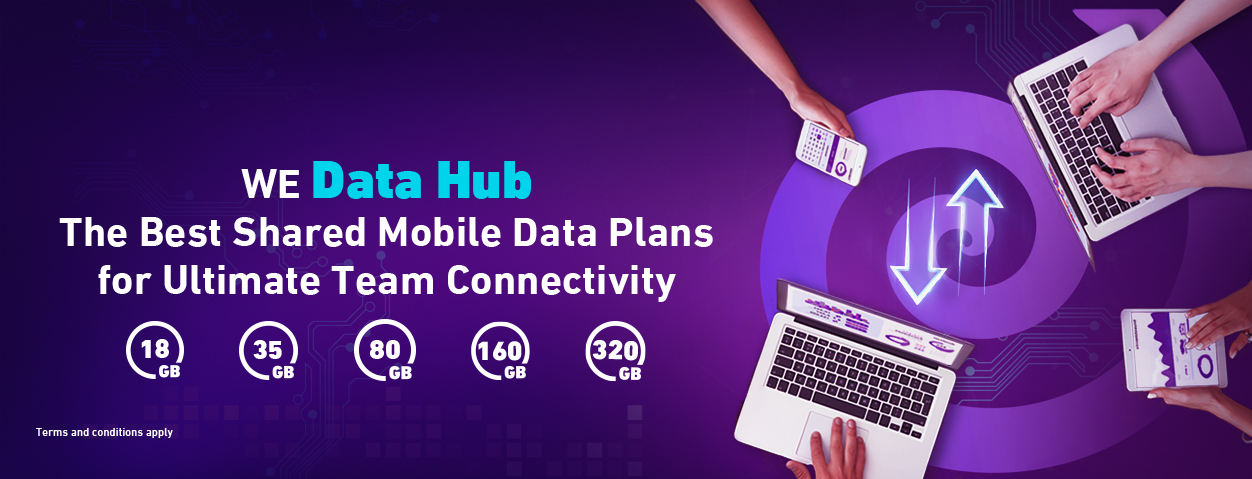 We Data Hub Banner