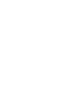 globe icon
