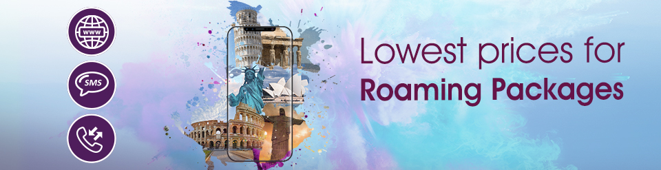 all in one bundles roaming from WE telecom Egypt