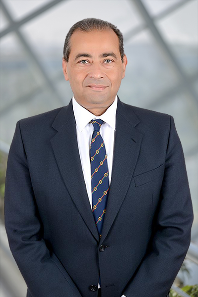 Mohamed Abdelhameed Mohamed Abdelhameed